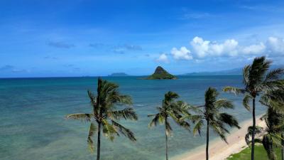tour companies for hawaii